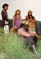 Black Eyed Peas (BEP)